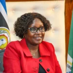 Cecily Mbarire