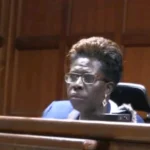 Environment and Land Court ruling on British Press Ngong River case