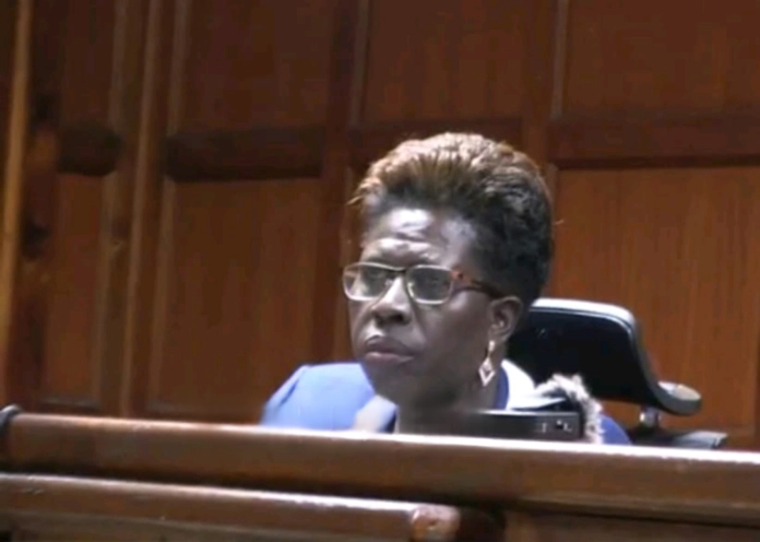 Environment and Land Court ruling on British Press Ngong River case