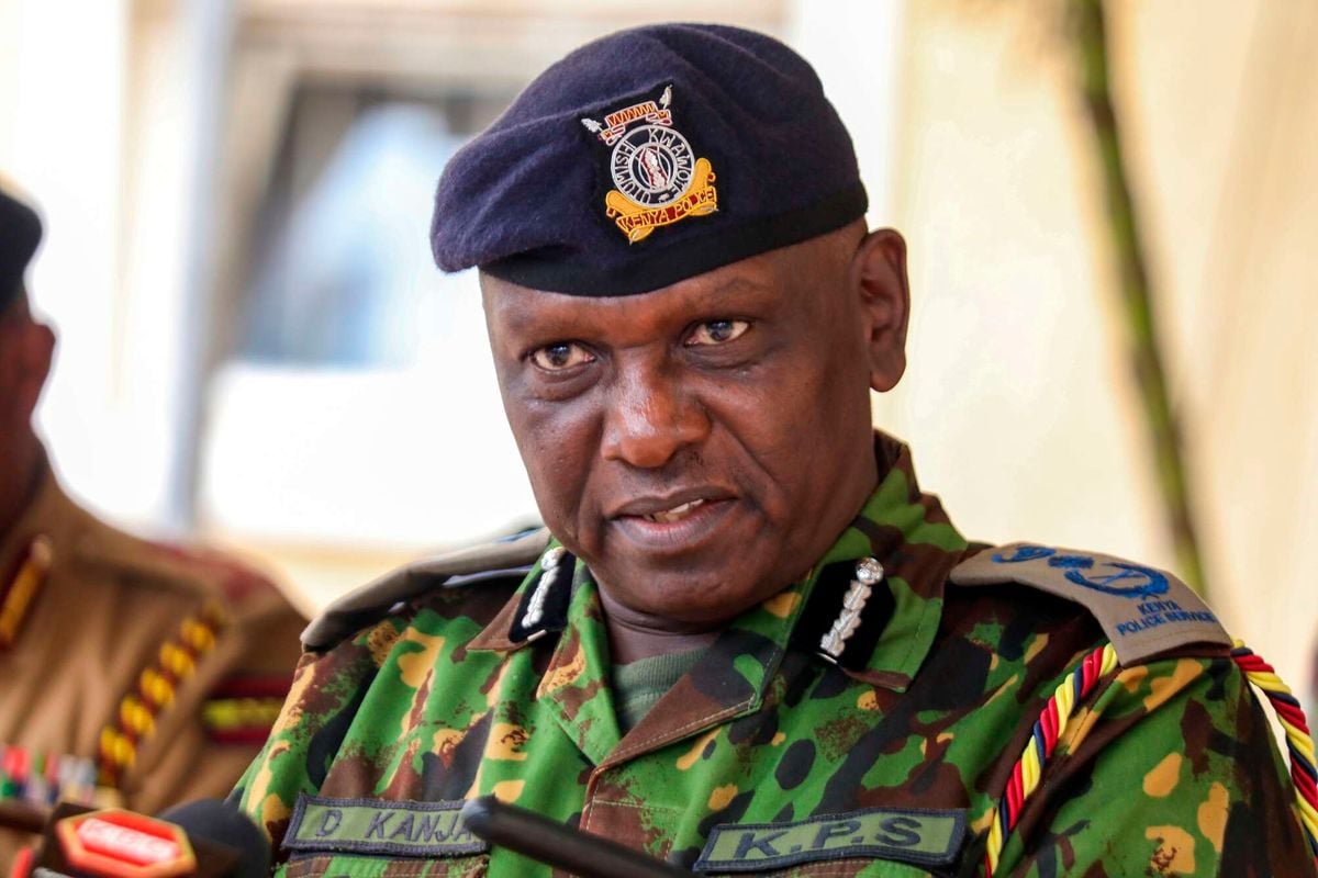 Court of Appeal led by Daniel Musinga suspends Hellen Wasilwa ruling granting Douglas Kanja exclusive police powers.