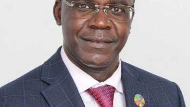 Jemimah Wafula KRA case Kenya