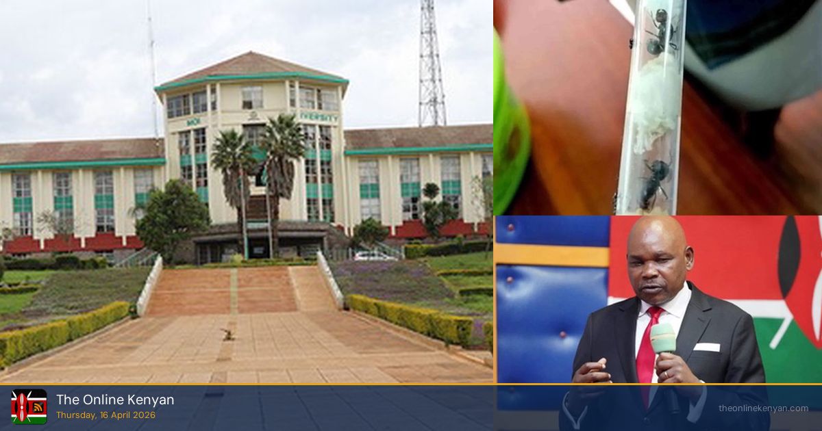 Moi University facing auction threat after court freezes accounts in KSh1 billion case