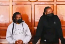 Phyllis Muthoni case Nairobi theft