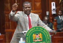 Wamboka Wanami High Court suspension case