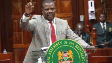 Wamboka Wanami High Court suspension case
